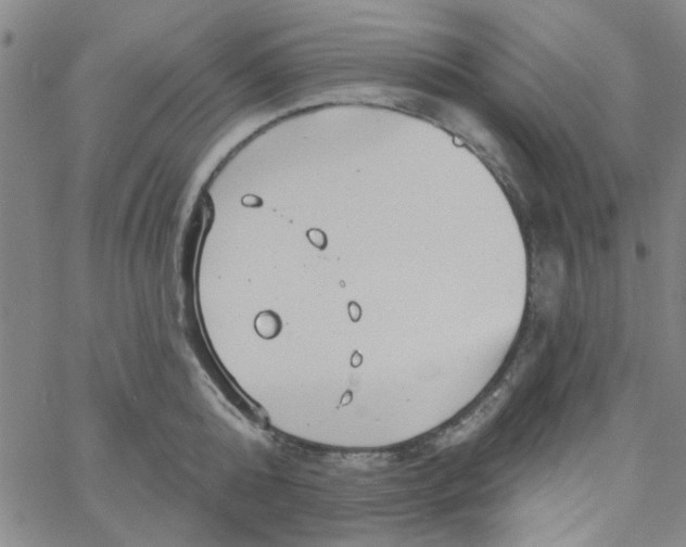 X0000061730808200512231433