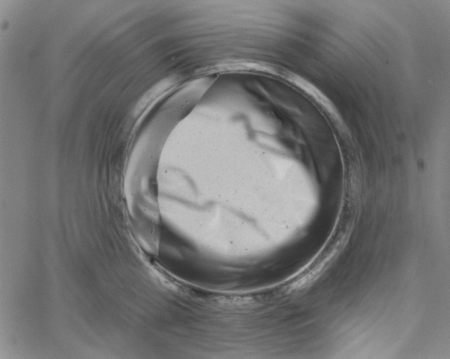 X0000061730809200512231433