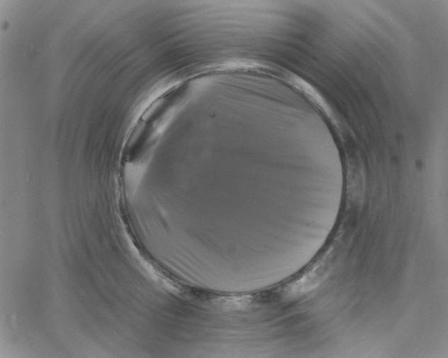 X0000061730810200512231433