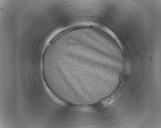 X0000061730811200512231433