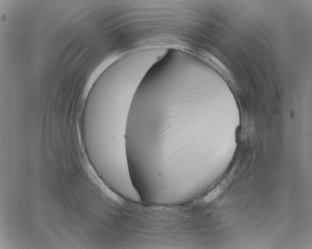 X0000061730812200512231433