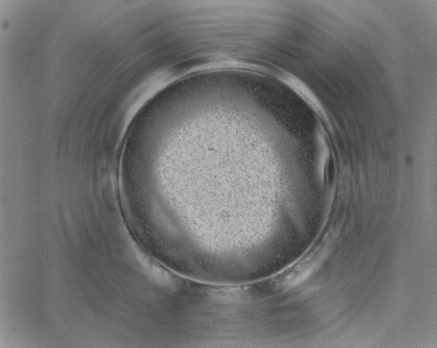 X0000061730813200512231433