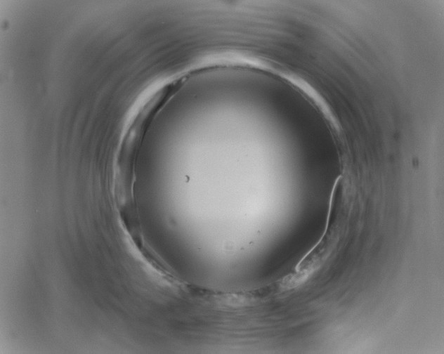 X0000061730815200512231433