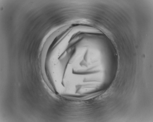 X0000061730816200512231433