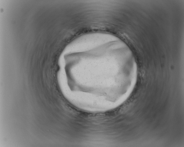 X0000061730817200512231432