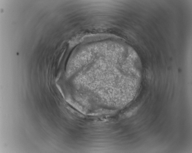 X0000061730818200512231432