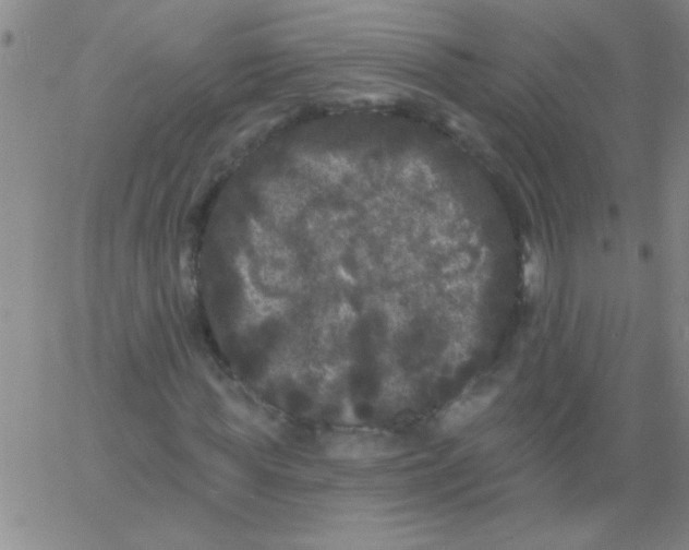 X0000061730819200512231432