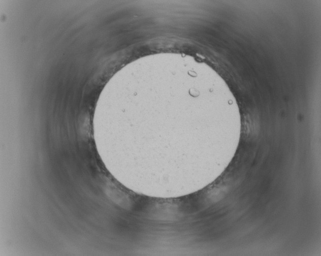 X0000061730820200512231432