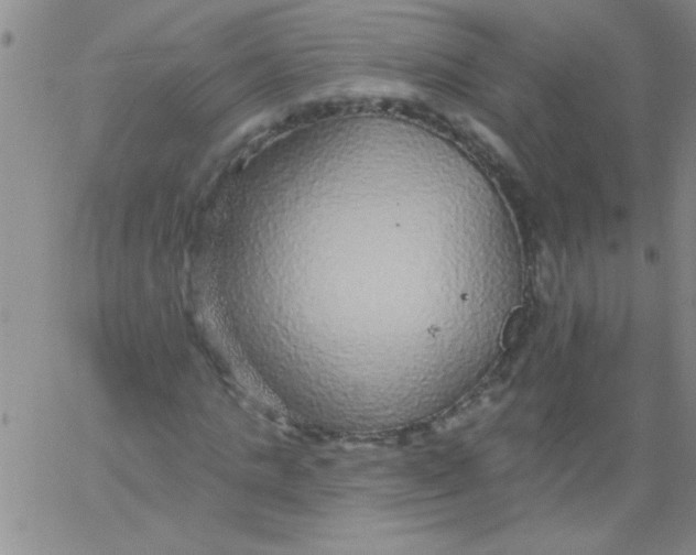 X0000061730821200512231432