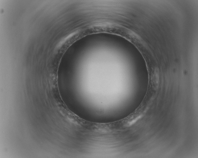 X0000061730822200512231432