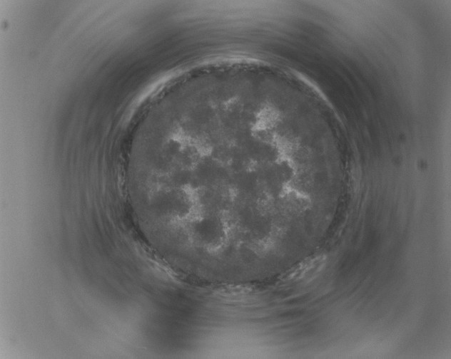 X0000061730823200512231432