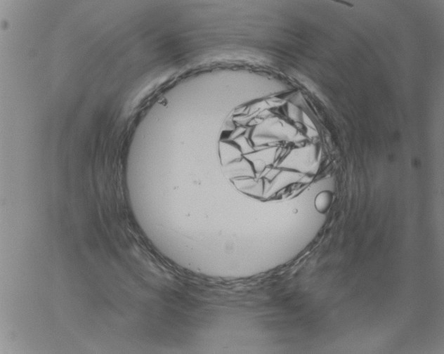 X0000061730824200512231432