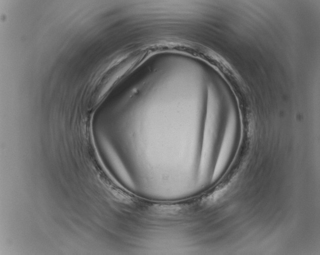 X0000061730825200512231432