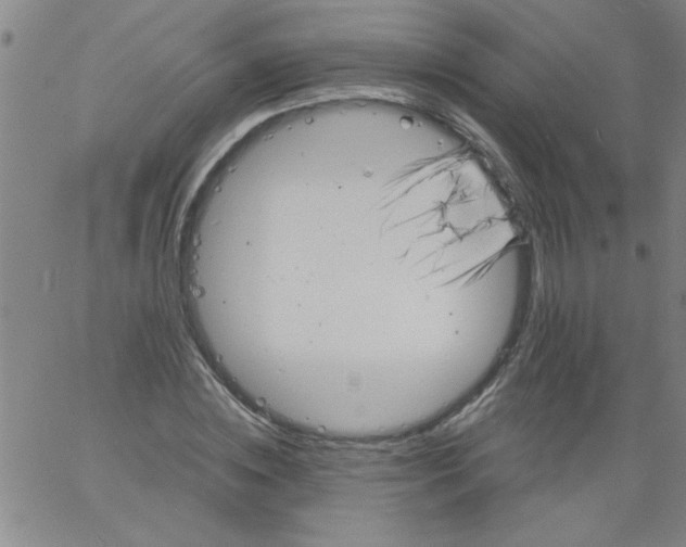 X0000061730828200512231432