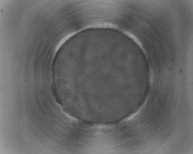 X0000061730829200512231432