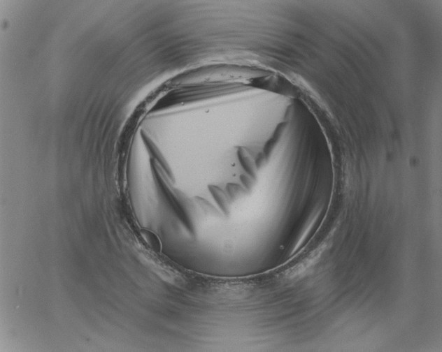 X0000061730830200512231432