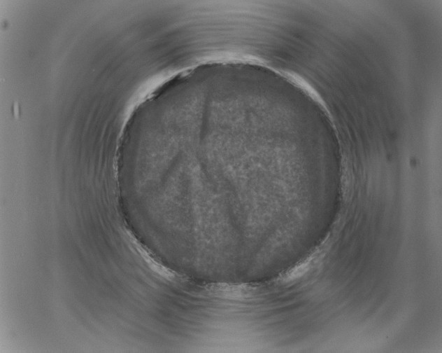 X0000061730831200512231432