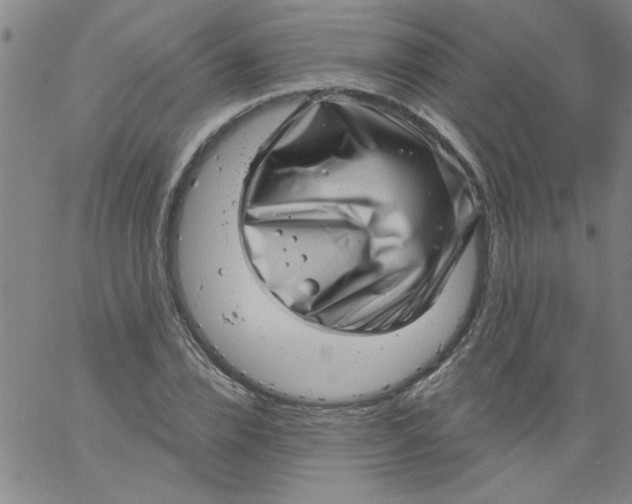 X0000061730832200512231432