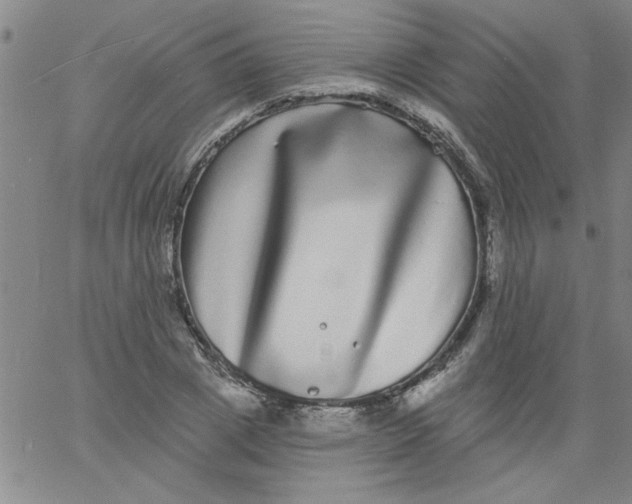 X0000061730833200512231432