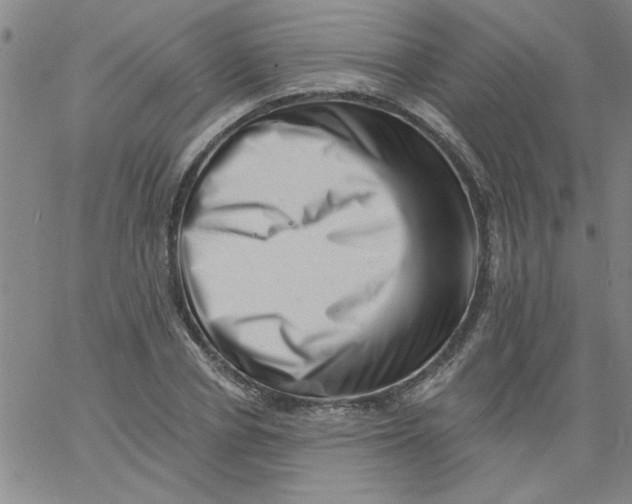 X0000061730834200512231432