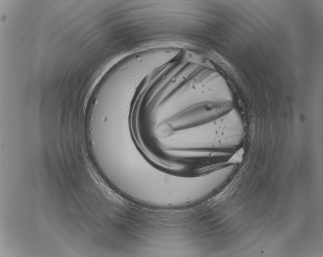 X0000061730836200512231432