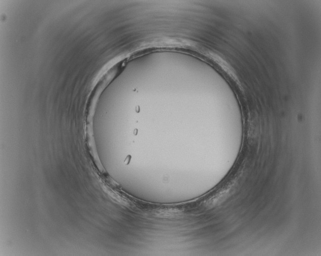 X0000061730837200512231432