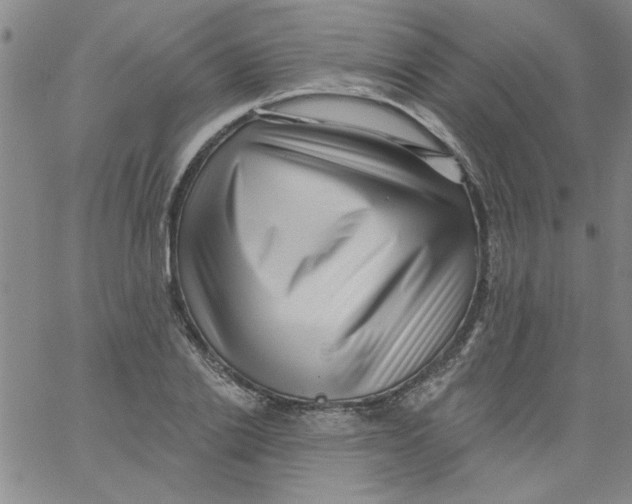 X0000061730838200512231432