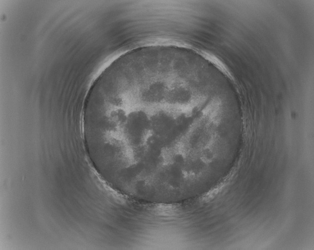 X0000061730839200512231432