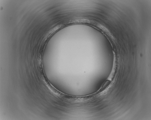 X0000061730841200512231432