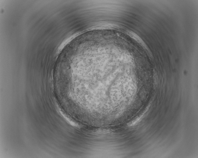 X0000061730842200512231432