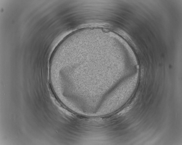 X0000061730844200512231432