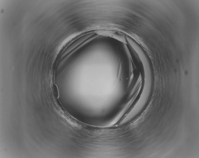 X0000061730846200512231433