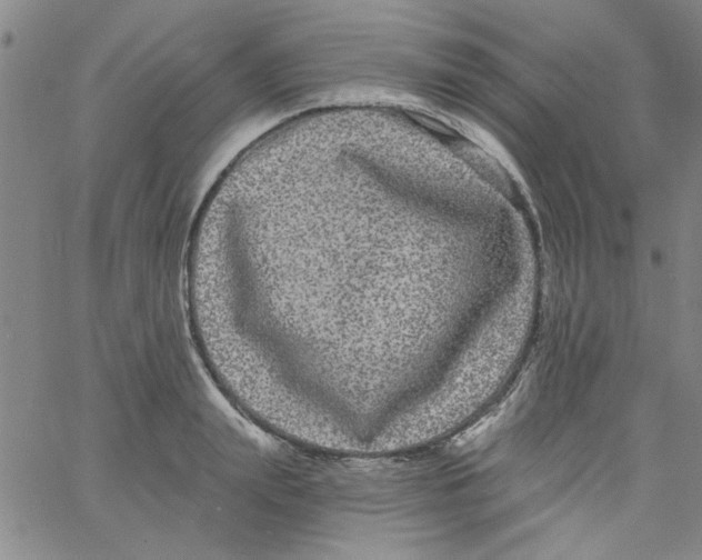 X0000061730847200512231433