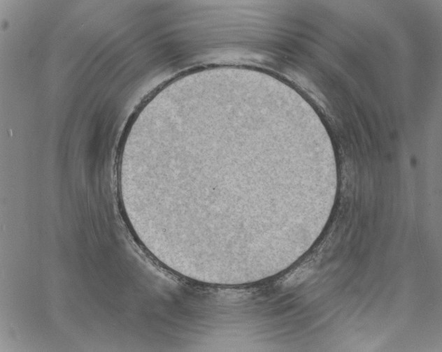 X0000061730848200512231433