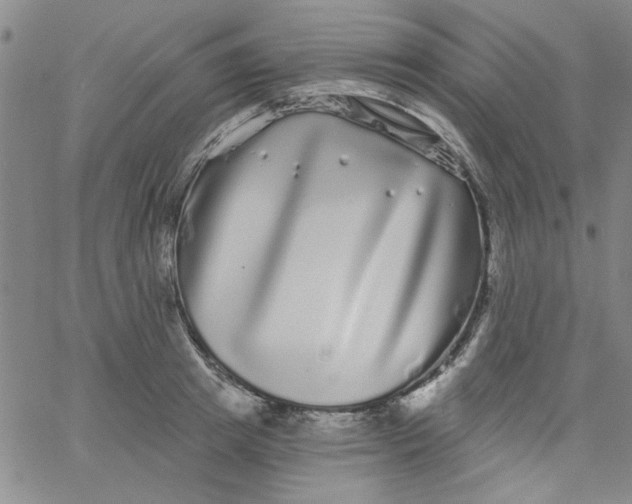 X0000061730849200512231433