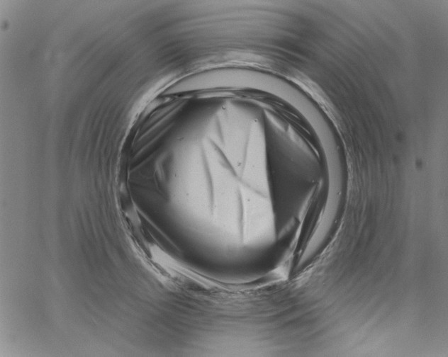 X0000061730850200512231433