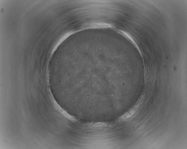 X0000061730851200512231433