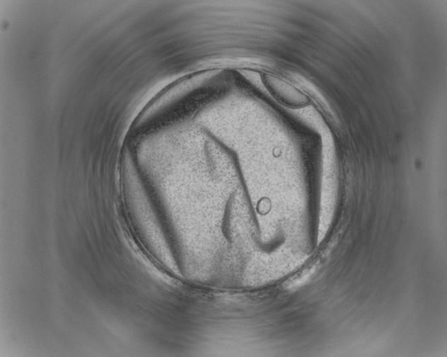 X0000061730852200512231433