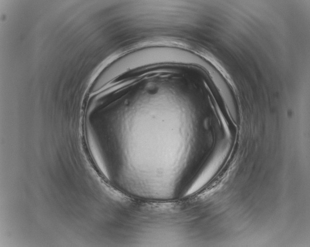 X0000061730853200512231433