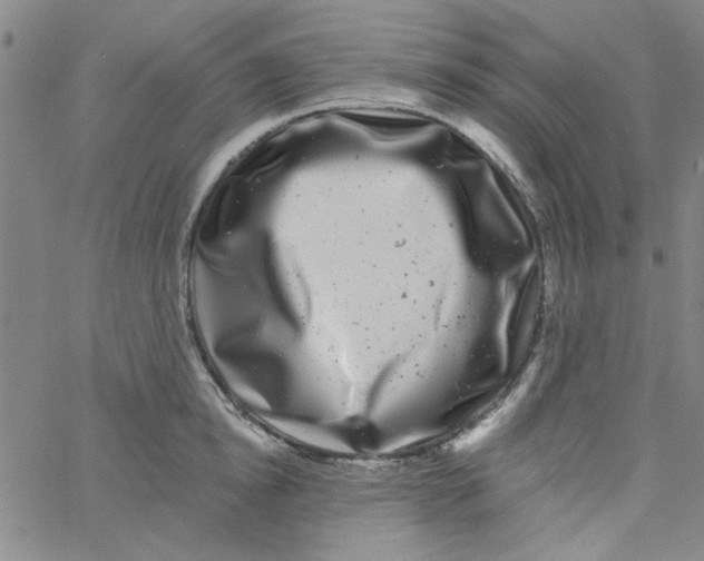 X0000061730854200512231433