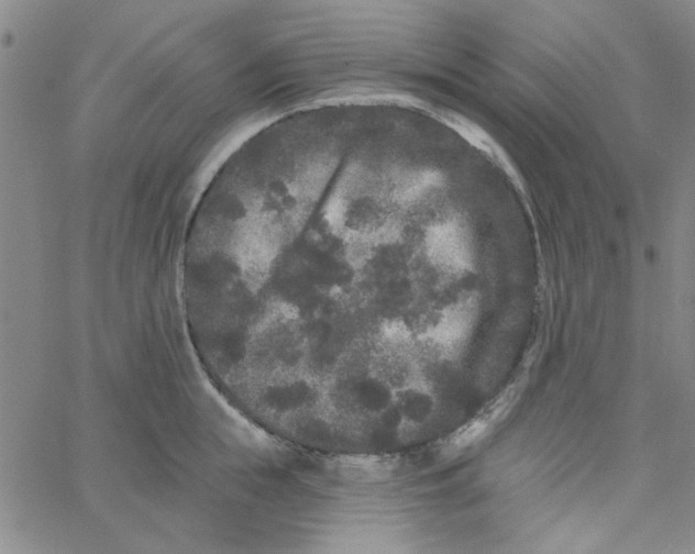 X0000061730855200512231433