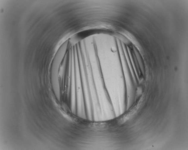 X0000061730858200512231433