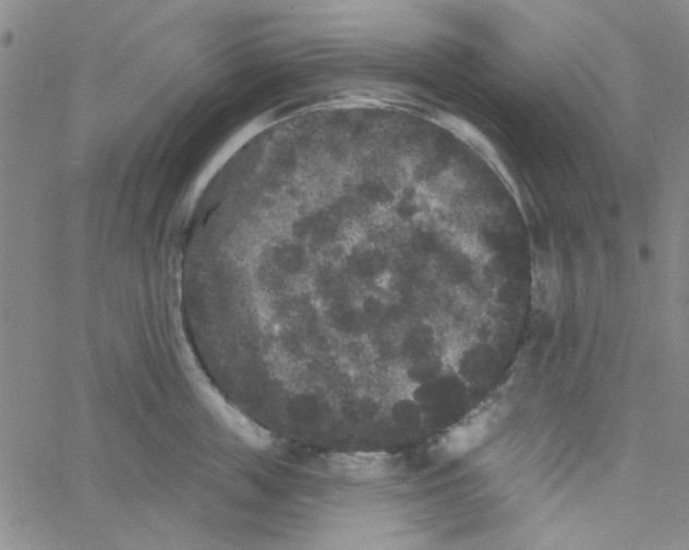 X0000061730859200512231433