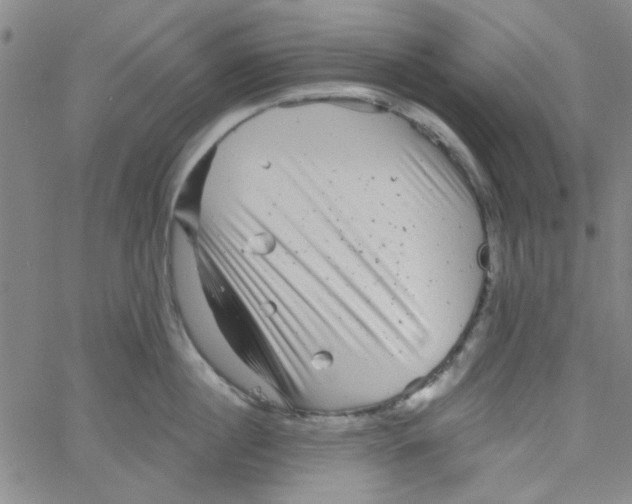 X0000061730860200512231433