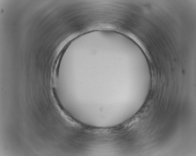 X0000061730861200512231433