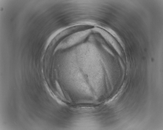 X0000061730862200512231433