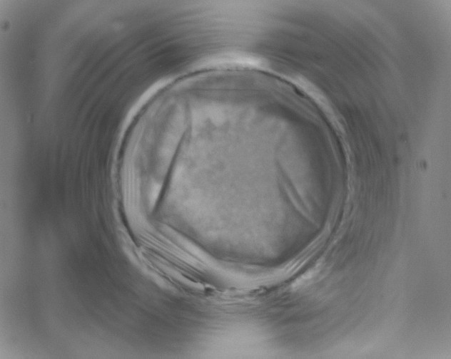 X0000061730864200512231433