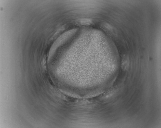 X0000061730866200512231432