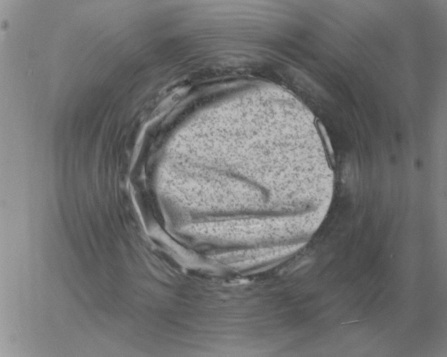 X0000061730868200512231432