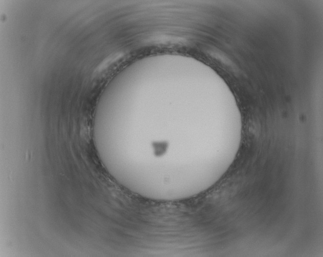 X0000061730869200512231432